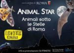 animal_star_escursione_naturalistica_serale_al_giardino_degli_aranci_img_max_width